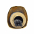 Пивная колонна тип Кобра на 4 сорта, золото в Владивостоке Пивная колонна тип Кобра на 4 сорта, золото в Владивостоке